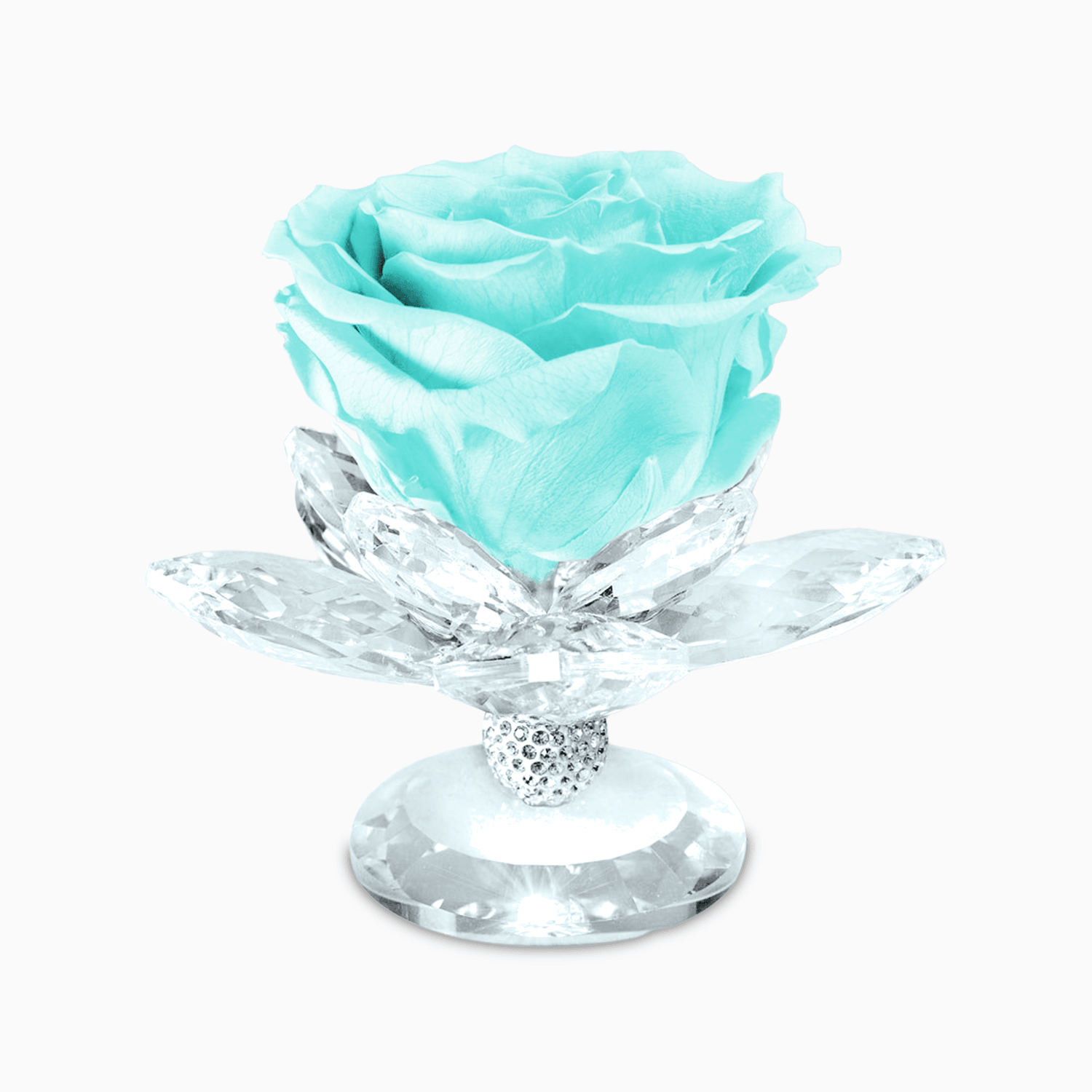 Bomboniera Rosa Stabilizzata su Alzatina Ninfea in Cristal per Comunione, Matrimonio, Anniversario Rosa Stabilizzata Albalu Bomboniere Tiffany Standard 
