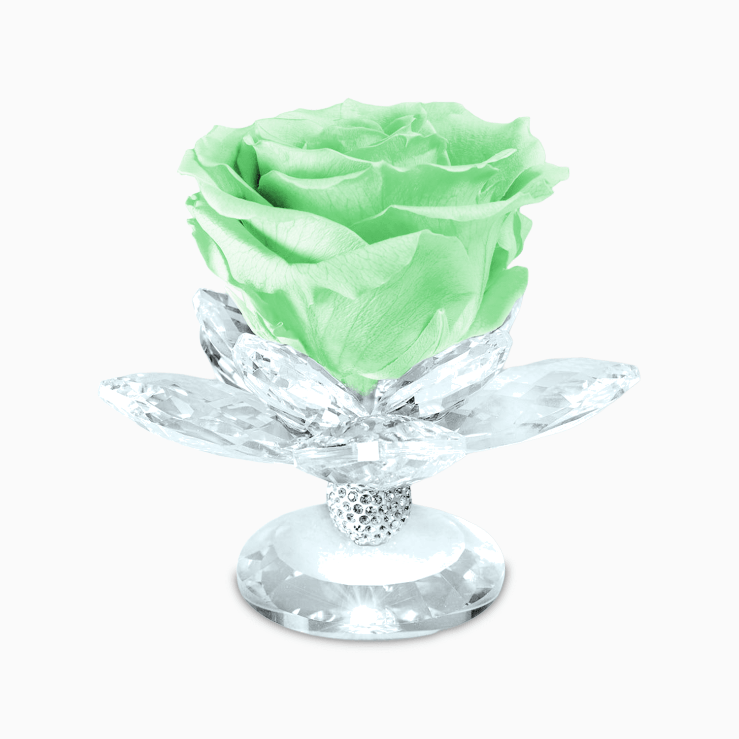 Bomboniera Rosa Stabilizzata su Alzatina Ninfea in Cristal per Comunione, Matrimonio, Anniversario Rosa Stabilizzata Albalu Bomboniere Verde Standard 
