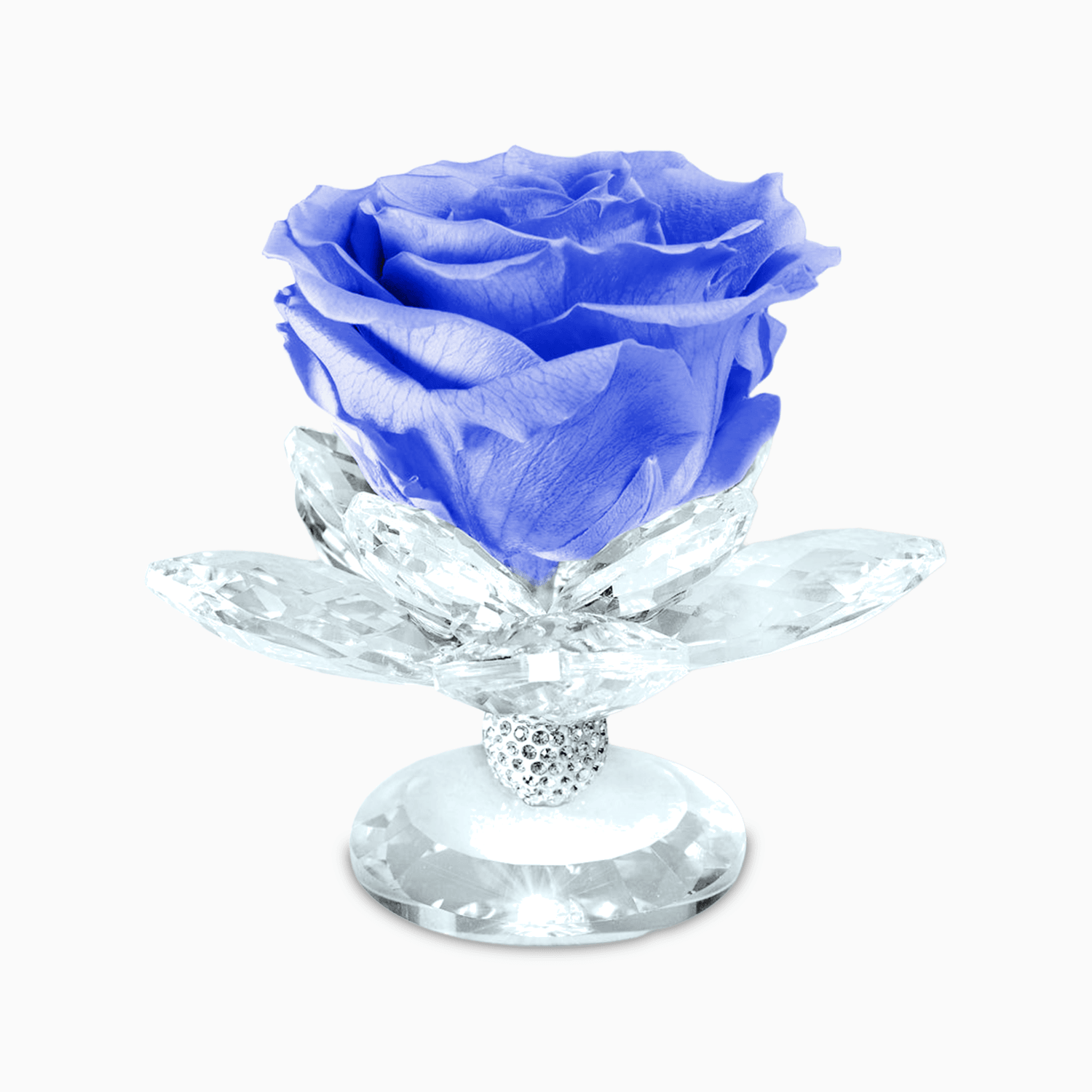 Bomboniera Rosa Stabilizzata su Alzatina Ninfea in Cristal per Comunione, Matrimonio, Anniversario Rosa Stabilizzata Albalu Bomboniere Blu Standard 
