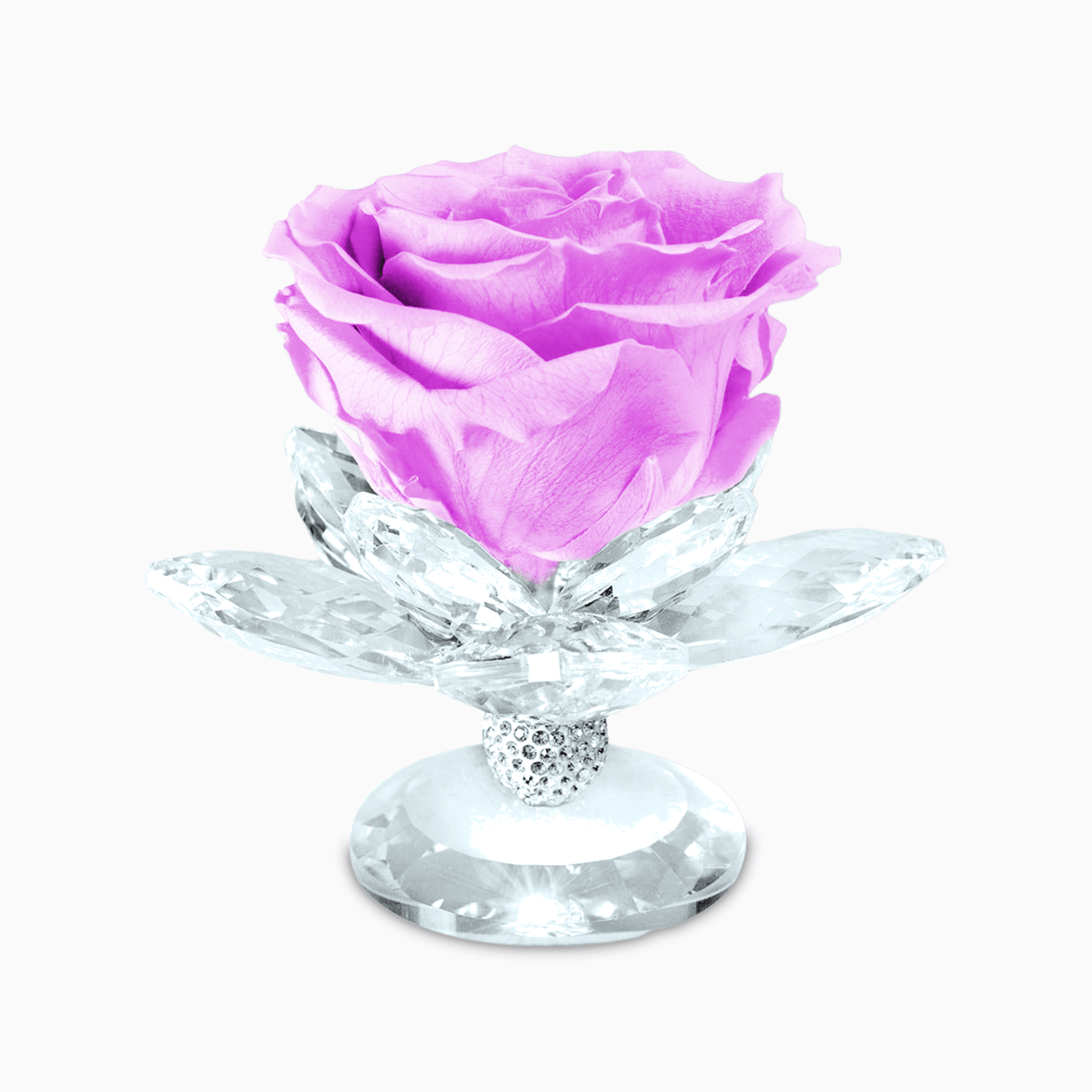 Bomboniera Rosa Stabilizzata su Alzatina Ninfea in Cristal per Comunione, Matrimonio, Anniversario Rosa Stabilizzata Albalu Bomboniere Fucsia Standard 