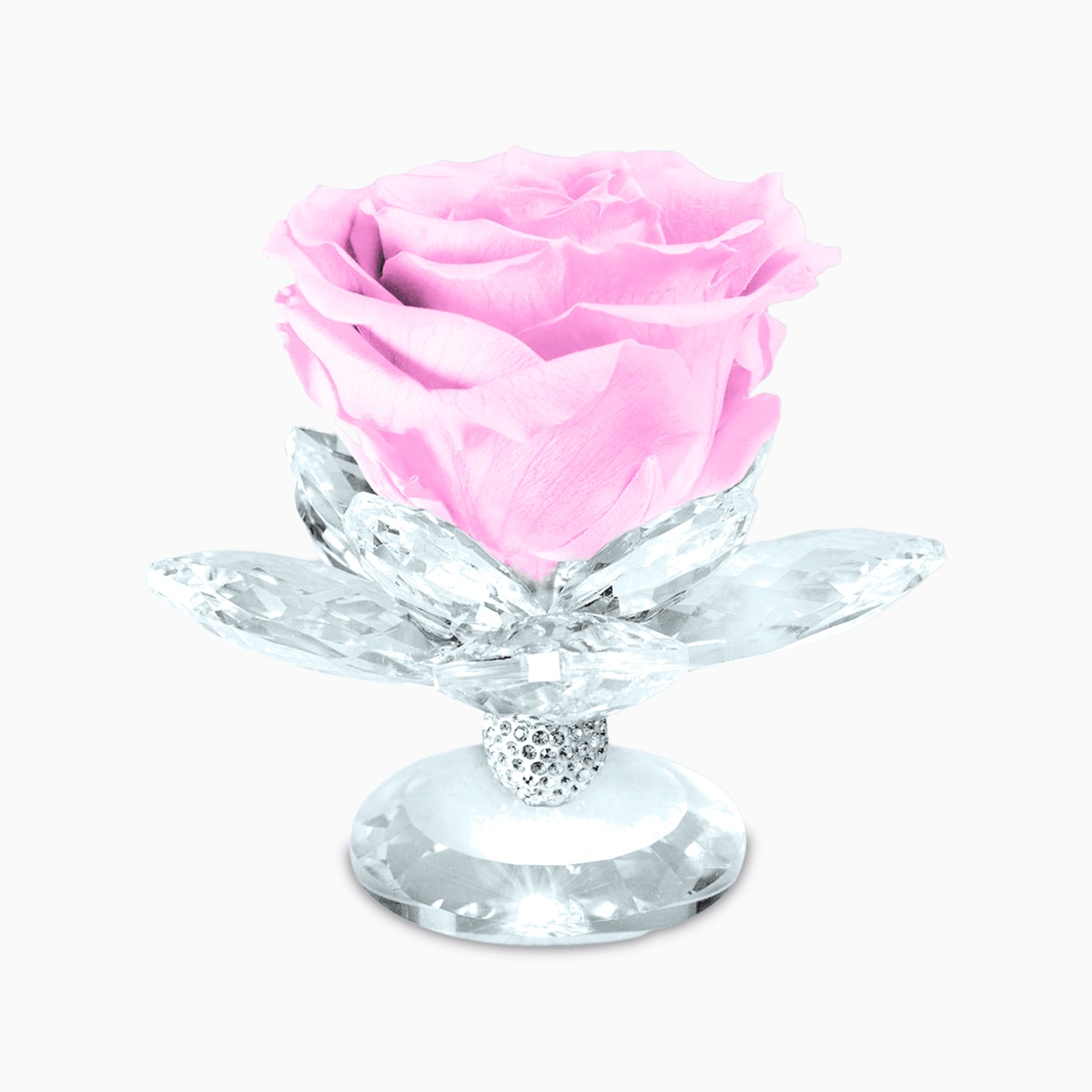 Bomboniere fiore stabilizzato rosa colore rosa con base in cristallo LED 11  petali H.9X9X6CM